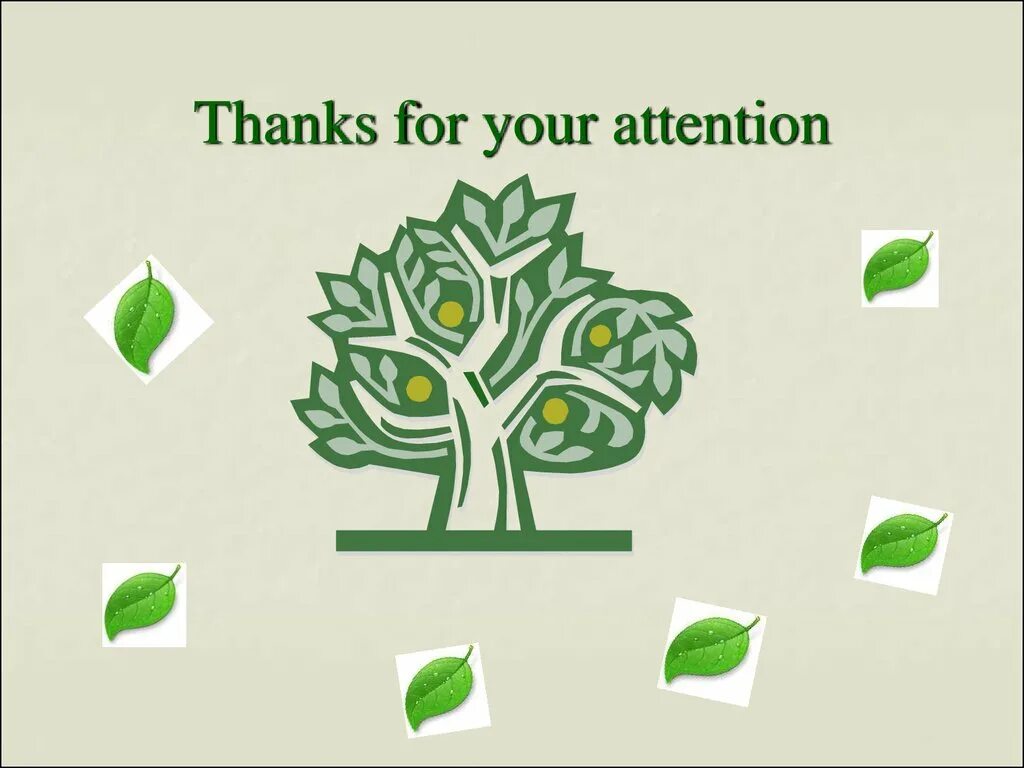 Thanks for use. Thanks for your attention. экология на английском. спасибо за внимание на английском экология. thank you for your attention ecology.