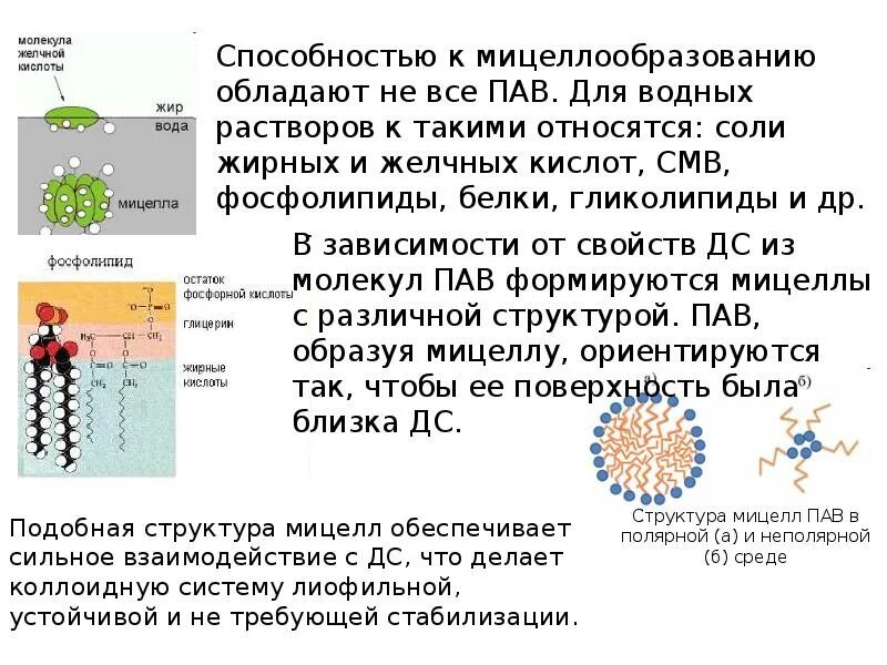 Пав и вмс. Пав и вмс