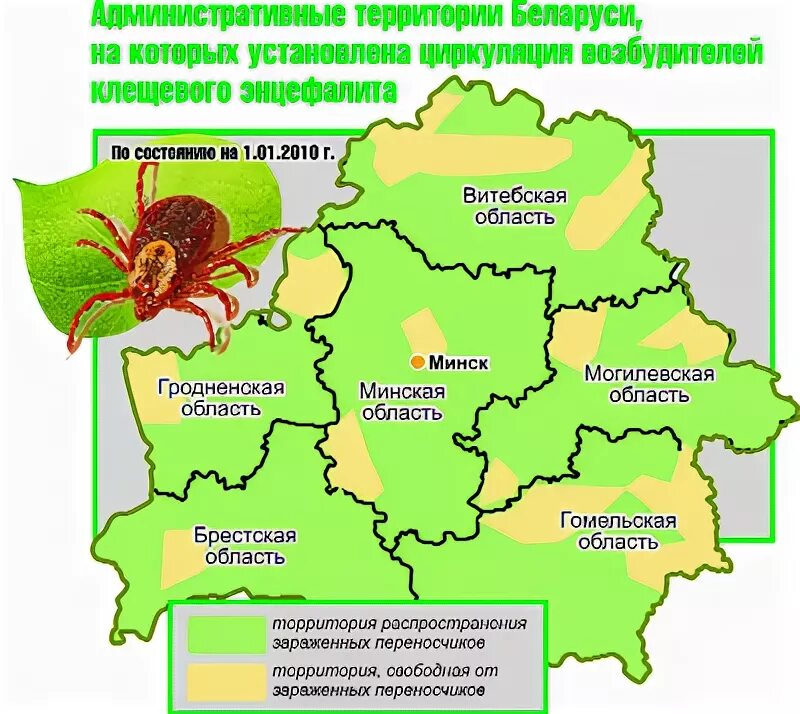Карта клещевого энцефалита. Клещевой боррелиоз карта распространения. Клещевой энцефалит в подмосковье. Карта подмосковья энцефалитных клещей. Карта распространения энцефалитных клещей в подмосковье.