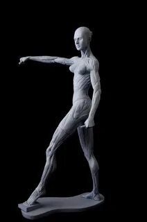 Sculptor body