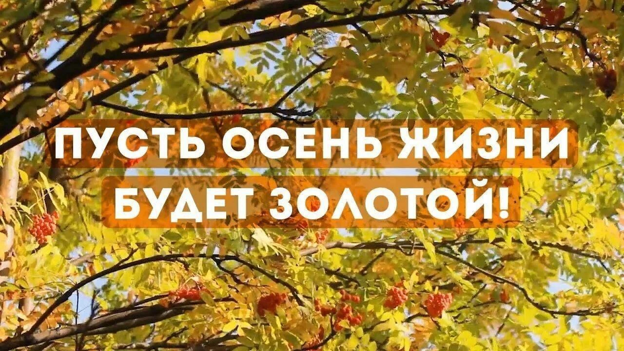 Пусть осень жизни будет золотой. Осень жизни. Золотая осень жизни. Пусть осень жизни будет золотой картинки. Как оформить в дом престарелых золотая осень