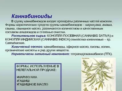 Как писать от имени тгк