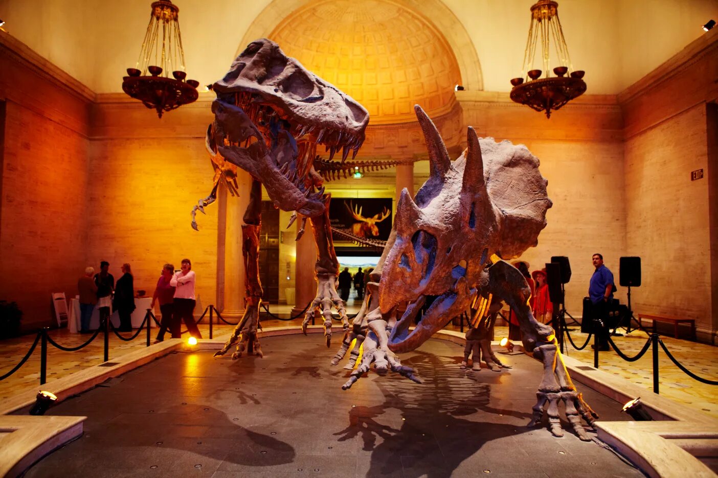 Do you find visiting museums interesting and