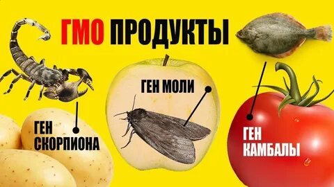 Про гмо