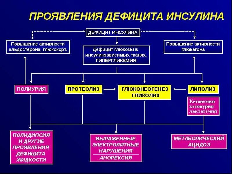 осмотр больного с сахарным диабетом 2 типа. льготы больным сахарным диабетом. заболевания связанные с действием инсулина. перечень бесплатных лекарств при сахарном диабете 2 типа. льготы сахарный диабет 2 типа.