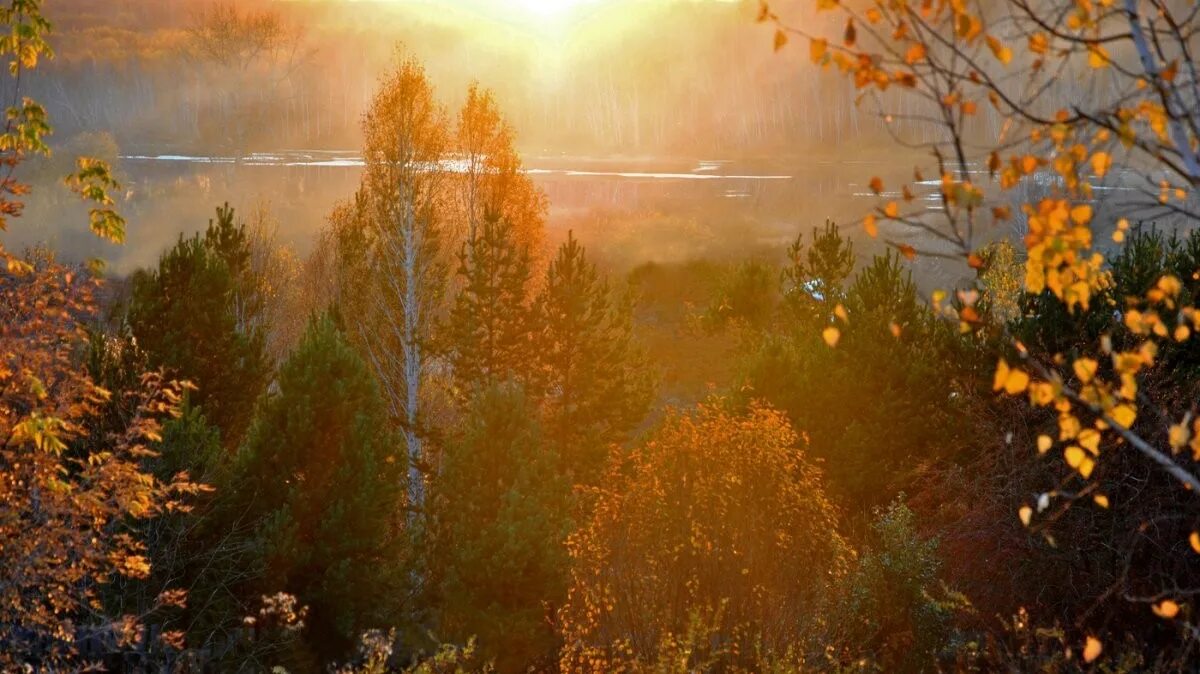 Весна солнце. Конец зимы. Осень ноябрь. Солнце 1 ноября. Осеннее солнце.