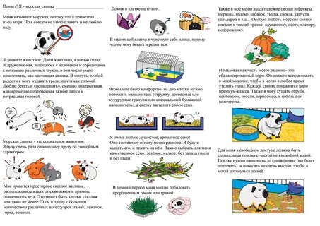 Можно давать морским