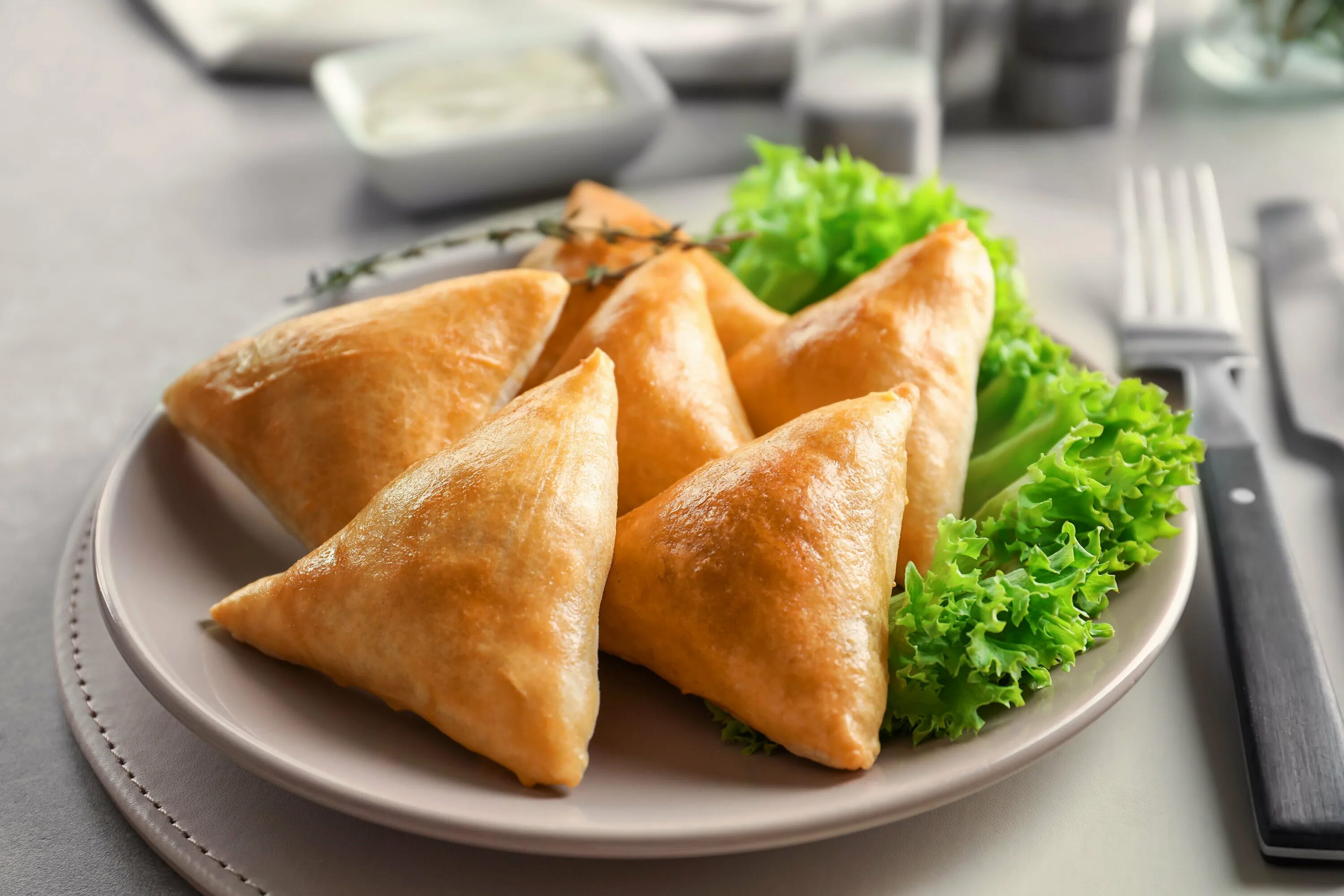 Самса тюльпан. Самоса (indian Samosa).. Самса ГИЖДА. Самбуса тандури. Самса с мясом и картошкой