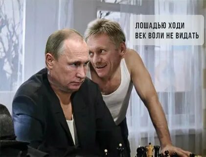 Песни век воли не видал