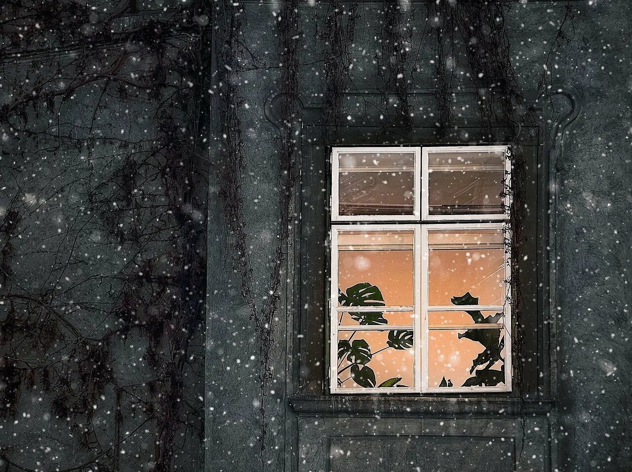 Синий вечер заглянул в мое окно. Зимнее окно. Окно снег. Снег за окном. Зима за окном.