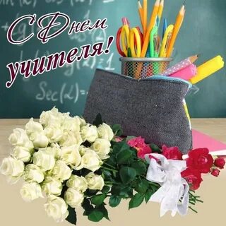 С днем учителя тюльпаны
