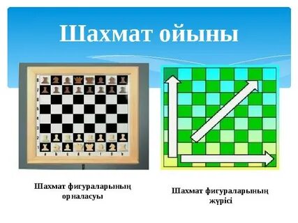 Иілгіш есектері бар сымбатты қыздар