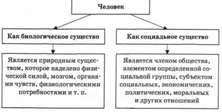 Человек как биологическое и социальное существо. Человек как биологическое существо как социальное существо. Концепции происхождения денег. Человек как социальное существо схема. Человек это биологическое и социальное существо