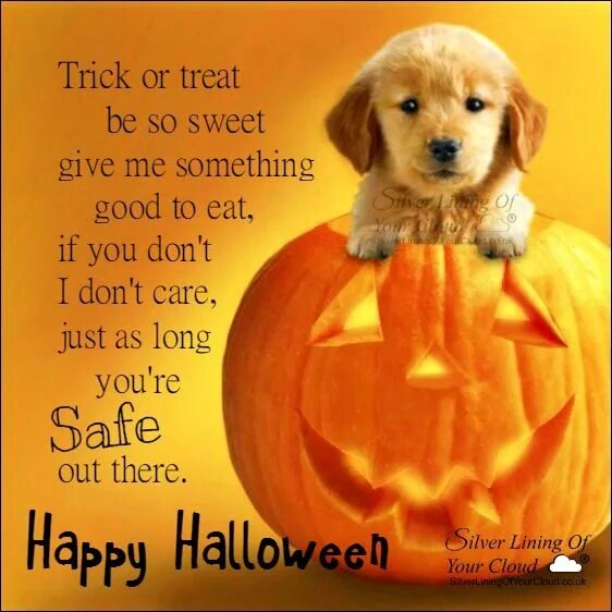 Trick or treat стих. Trick or treat Trick or treat give me something good to eat. Trick of treat перевод. Trick or treat стих на английском.