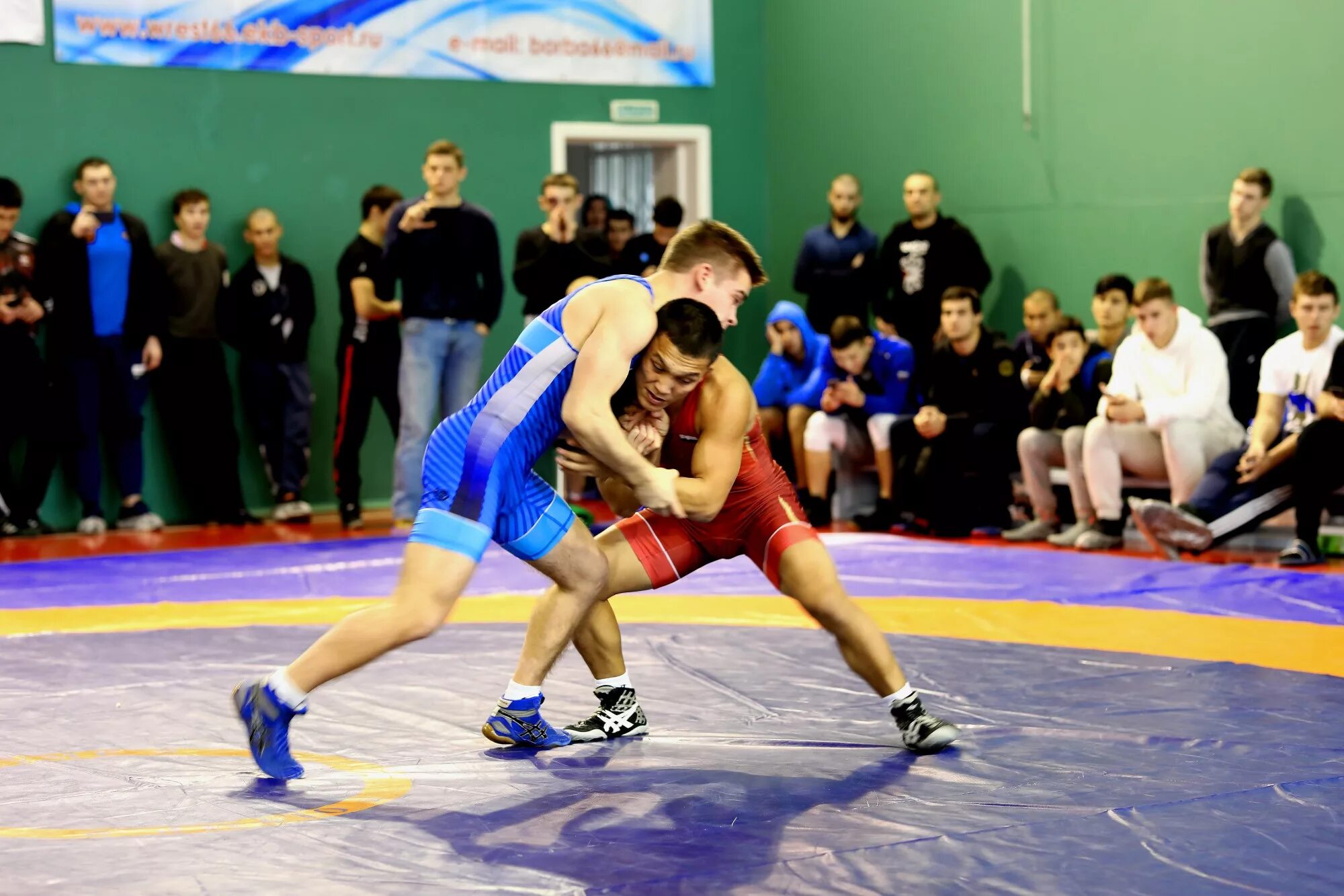казань борьба. вольная борьба екатеринбург. ульяновские борцы греко-римского стиля. левон авдалян греко римская борьба. зелимхан цуров.