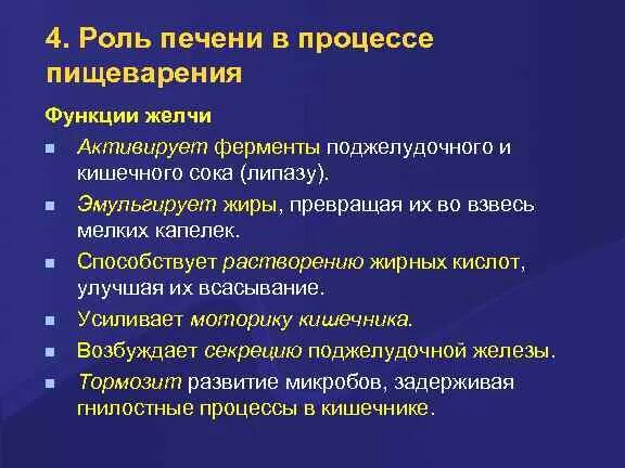 Функции печени выработка желчи. Функции печени выработка желчи