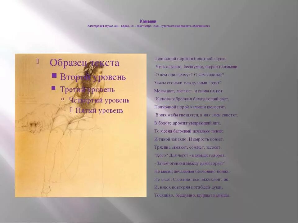 Анализ стихов бальмонта. Бальмонт камыши Бальмонт камыши. Стихотворение камыши. Бальмонт камыши стихотворение. Полночной порою в Болотной глуши чуть слышно бесшумно шуршат камыши.