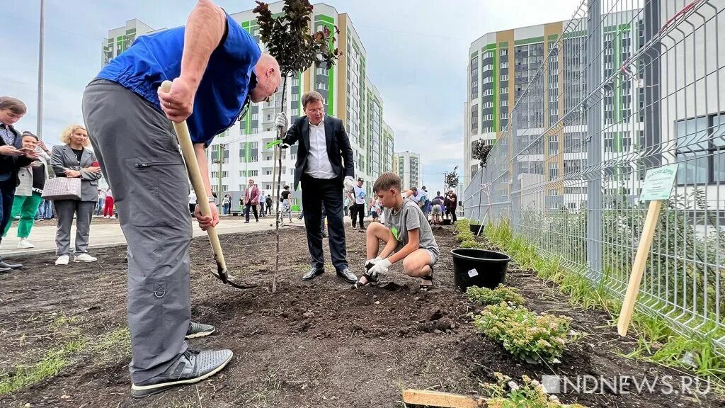 Аллея возле ЗАГСА. Фотографии Липовой аллеи. Когда высаживают деревья. Будут расти в любом