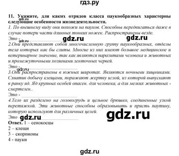 Конспект по истории 6 класс 17