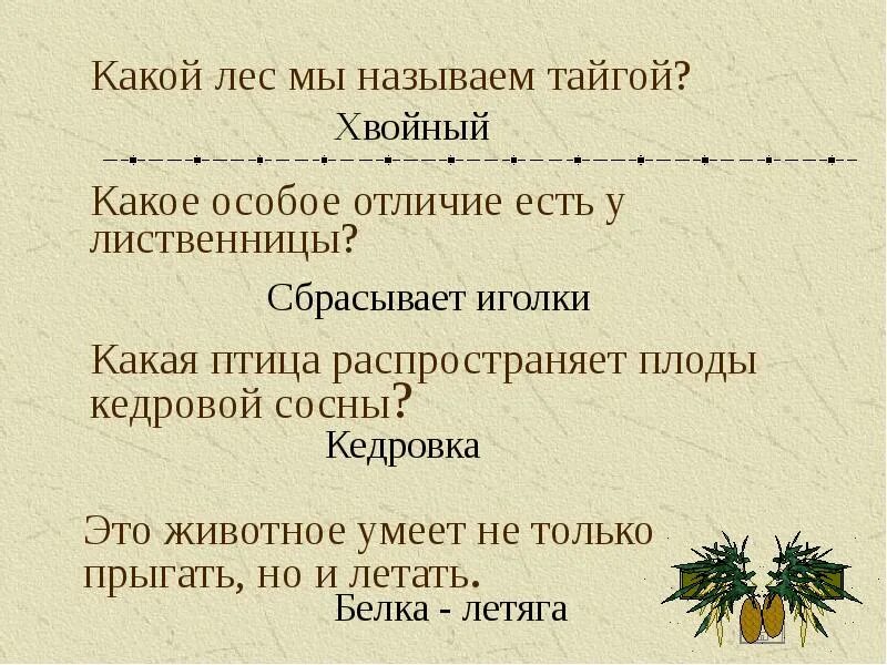 Почему тайга называется тайгой. Какой лес мы называем тайгой. почему лес назван тайгой. какой лес мы называем тайгой 4 класс.