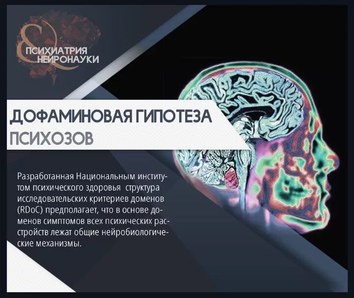 Дофаминовая зависимость. Дофаминовая теория шизофрении. Дофамин и шизофрения. Дофаминовая гипотеза.