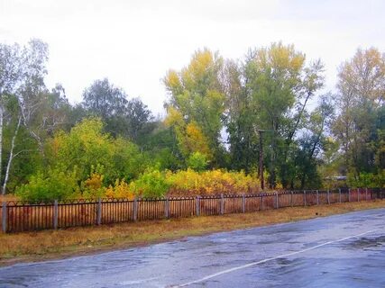 Погода в высокая грива