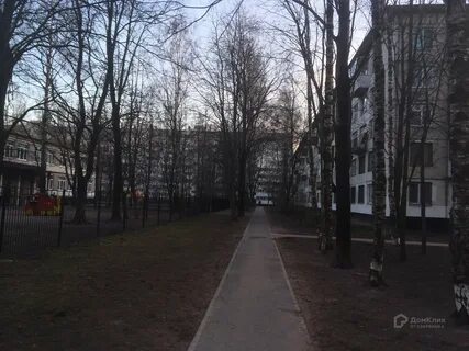 Тимуровская улица санкт петербург