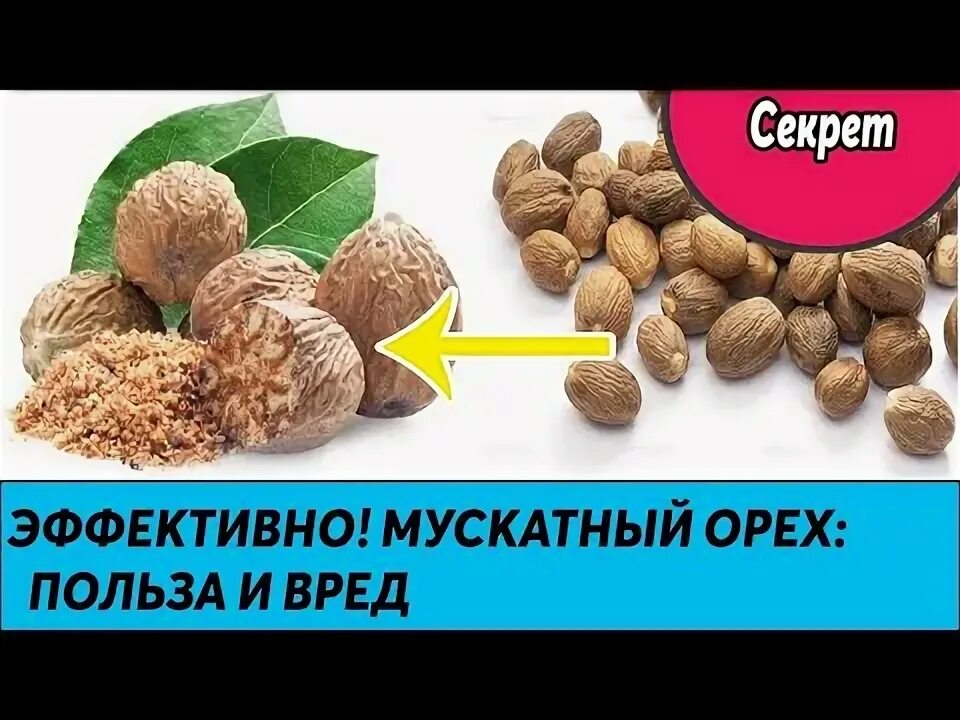 Мускатный орех польза и вред. Мускатный орех. Мускатный орех польза и вред для здоровья. Чем полезен мускатный орех.