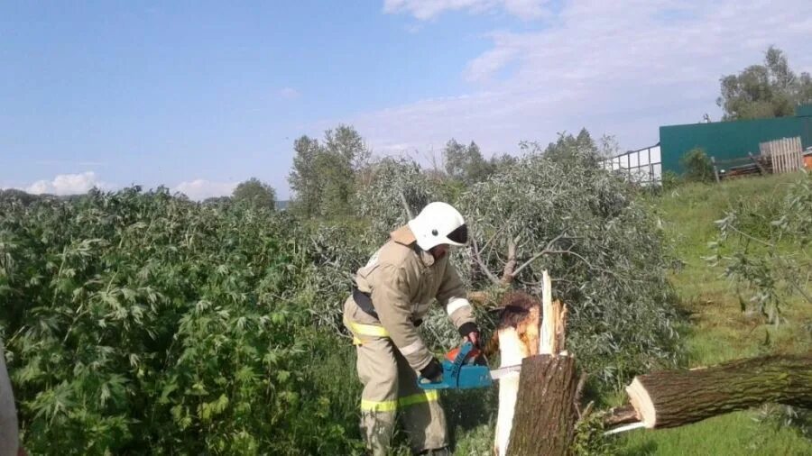 Гисметео вольный стан. Садретдинова лилия назимовна буинск. Село энтуганы. Погода в энтуганах. Село энтуганы.