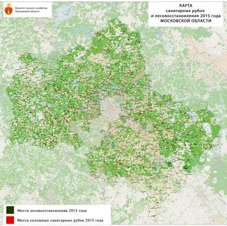 Красногорское лесничество