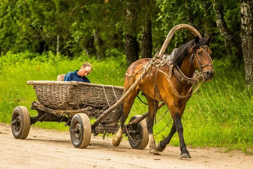 Кобыла с возу