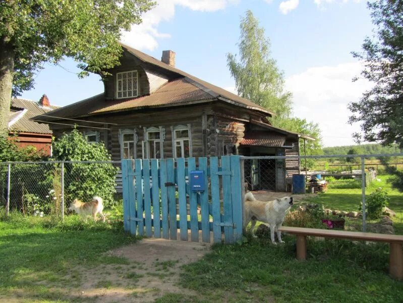 деревня кошкино. заброшенные деревни вачский район. кошкино (вачский район). деревня кошкино. деревня кошкино.