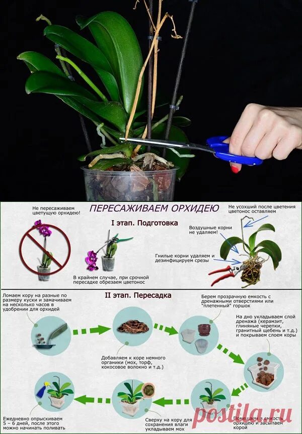 Svetlana (brave_tailor) - Profile Pinterest