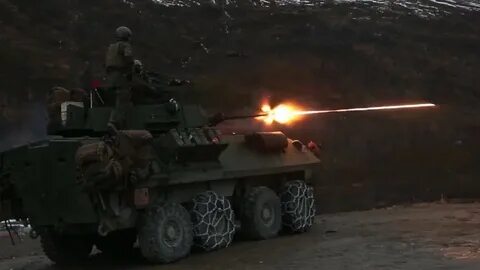 25 стрельба