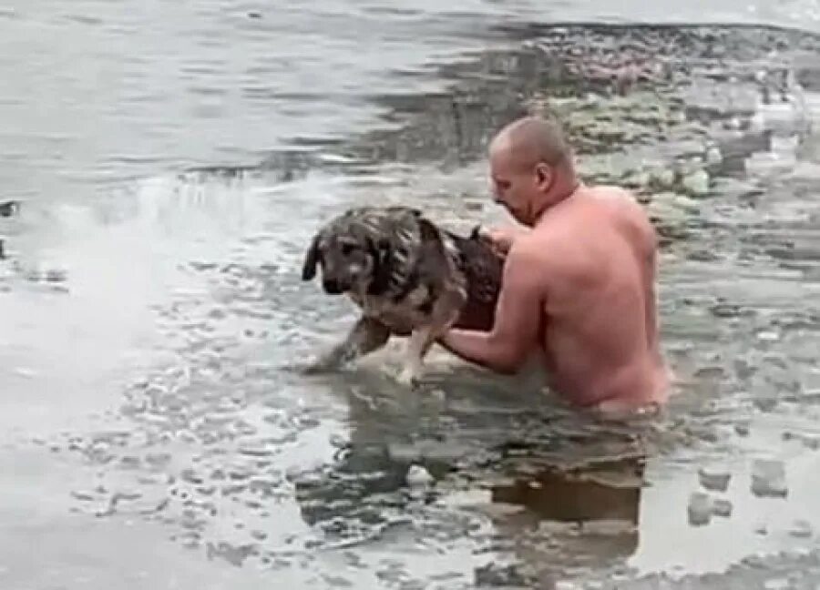 Спасение собаки из воды. Спас собаку из ледяной воды.