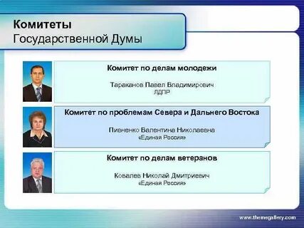 Пример думы