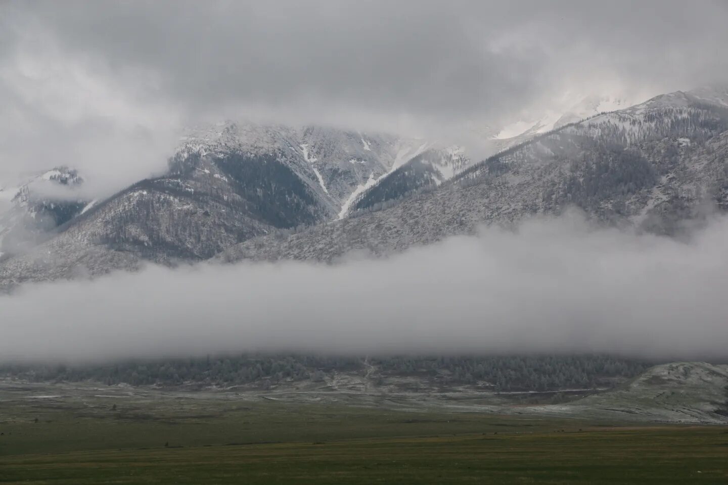 Золотые горы алтая климат. Алтайские горы климат. Климат алтая. Горы кош агач. Гора белуха климат.
