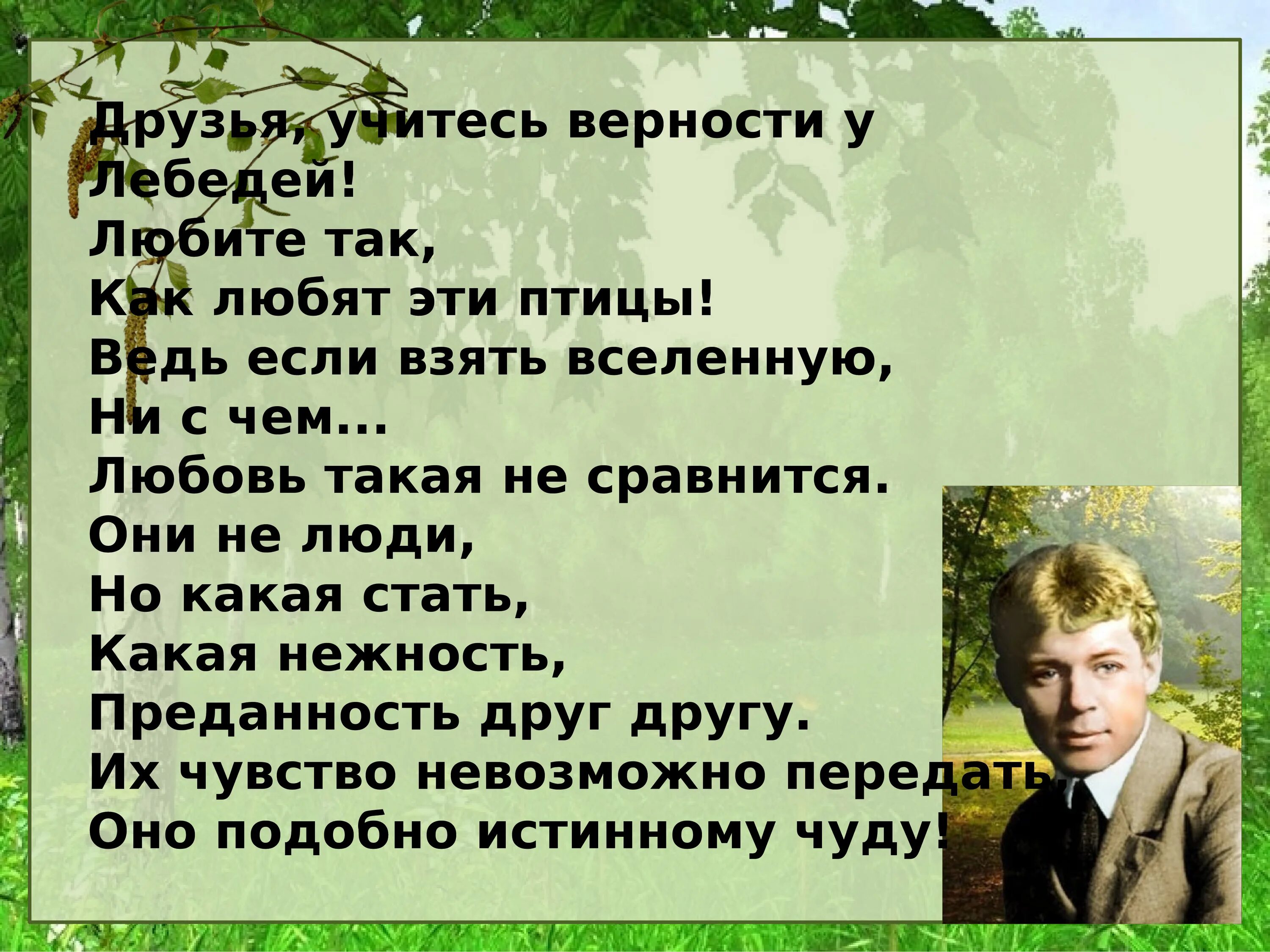 Есенин лебедушка олицетворения и сравнения. С. Есенин. Урок чтения с Есенин Лебедушка.