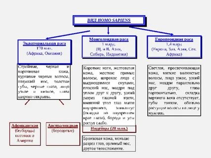Основные и переходные расы
