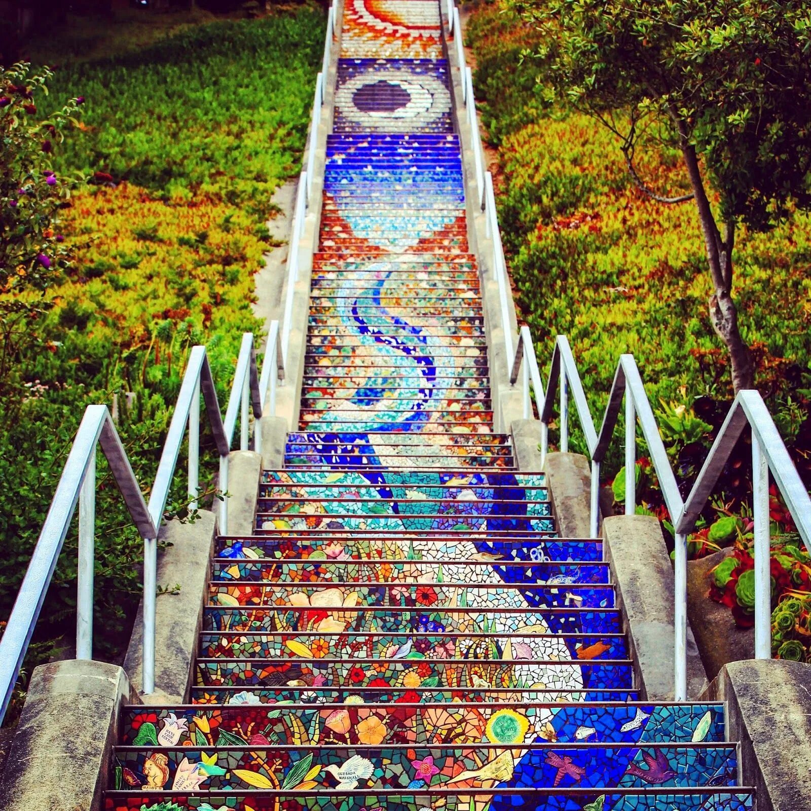 Мозаичная лестница в Сан-Франциско. Мозаичная лестница tiled steps. Сан Франциско лестница. Необычные лестницы. Step beautiful