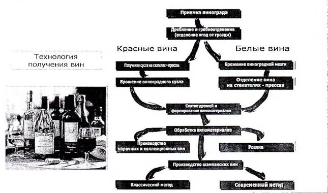 Схема производства вина красное и белое. Производство вина технология схема. Технологическая схема производства вина из винограда. Схема производства красного вина красное белое. Производство красного вина