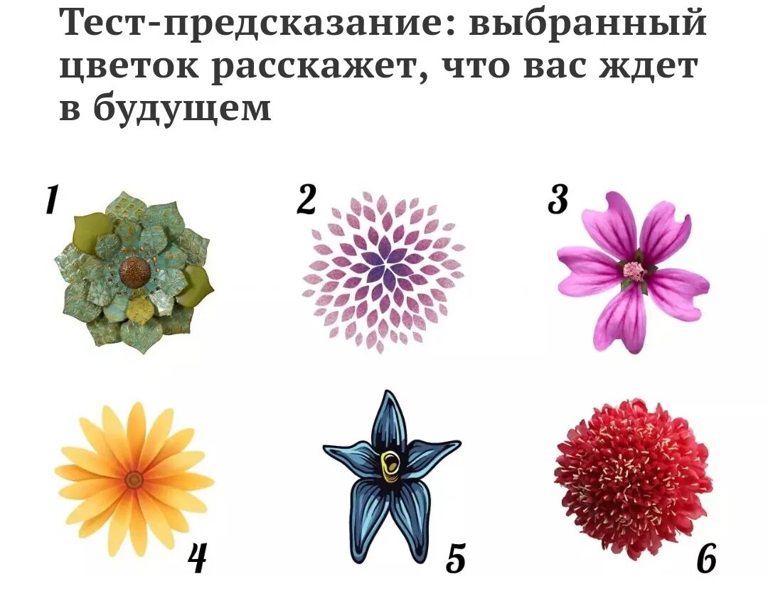 Бесплатные предсказания ближайшего будущего. Предсказания по картинкам. Тест предсказание. Тест предсказание в картинках. Предсказания по картинкам на будущее.