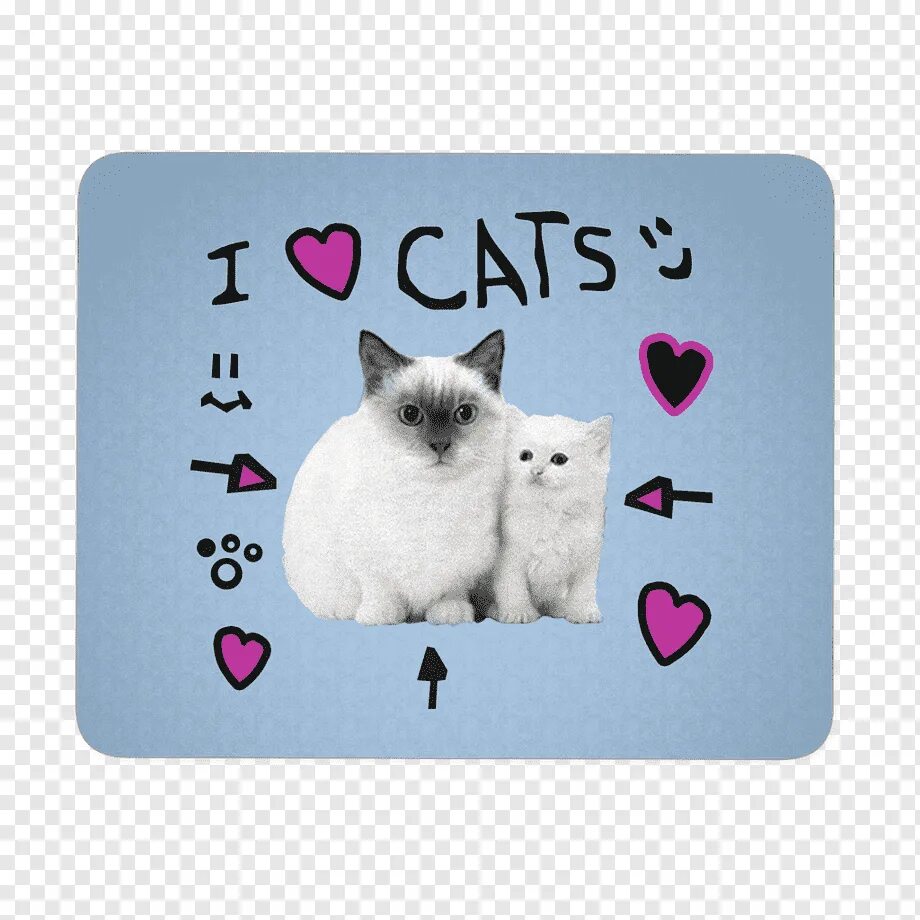 Роблокс футболка i love. Футболка i Love Cats. Футболка РОБЛОКС I Love Cat. I Love Cats футболка Roblox. Что любят кошки.