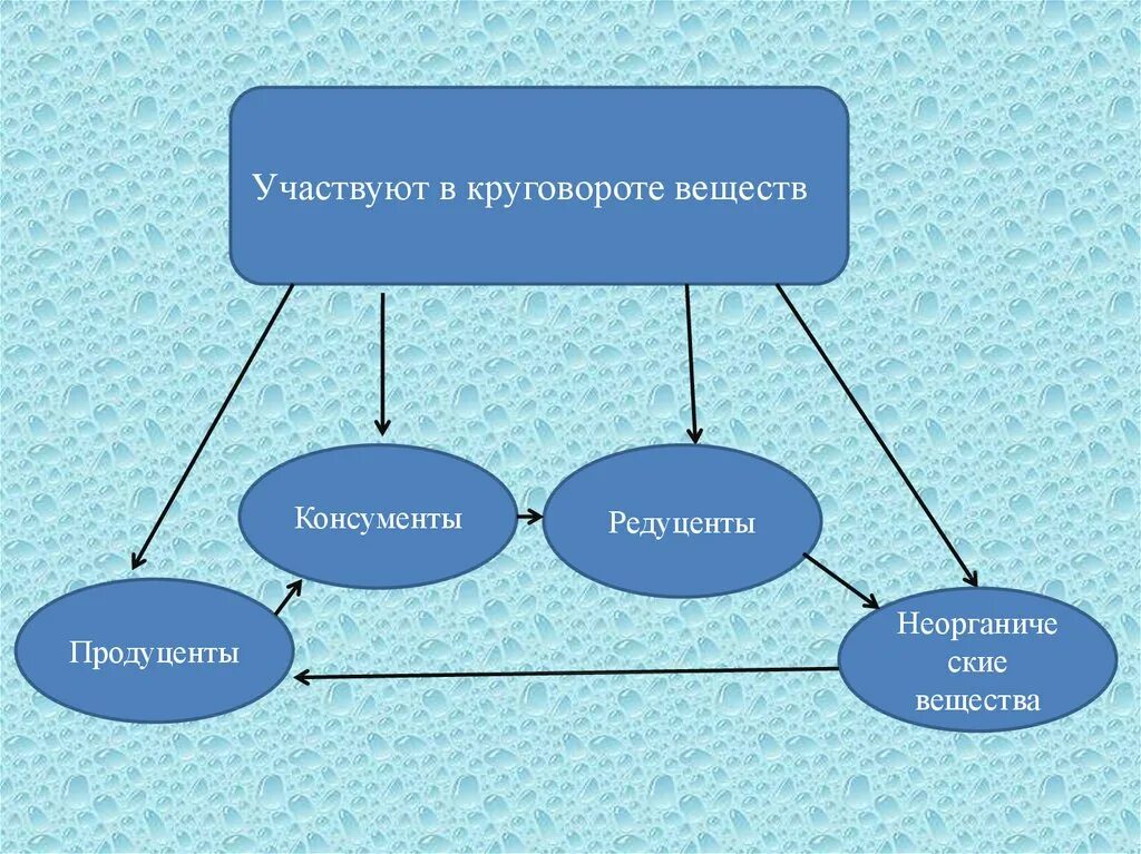 Презентация круговорот веществ в природе 5 класс. Участвуют в круговороте веществ. круговорот веществ в природе. вещества участвующие в круговороте веществ. участвуют в круговороте веществ в природе.