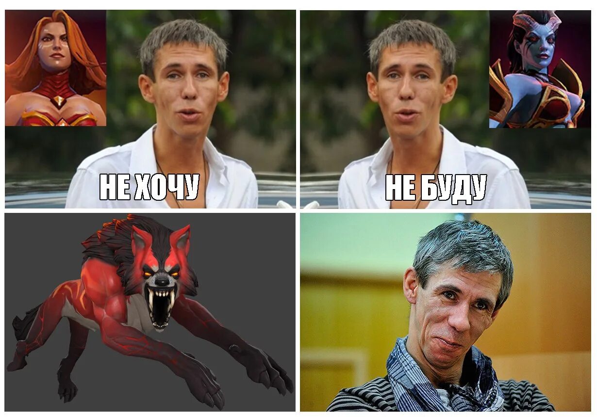 Панини собака