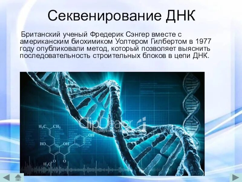 Метод секвенирования днк. Секвенирование биополимеров метод. Секвенирования генома. Метод секвенирования в биологии. Методы секвенирования ДНК.