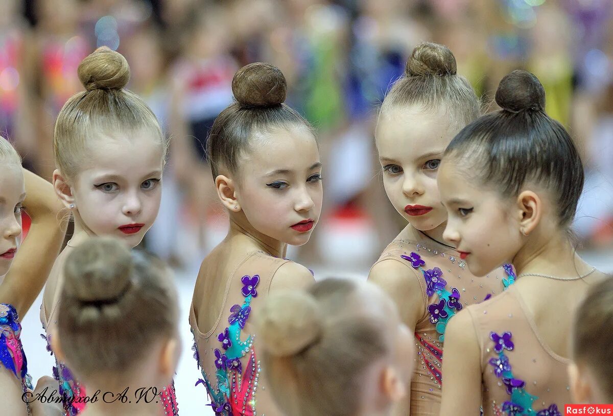 гимнастика одинцово