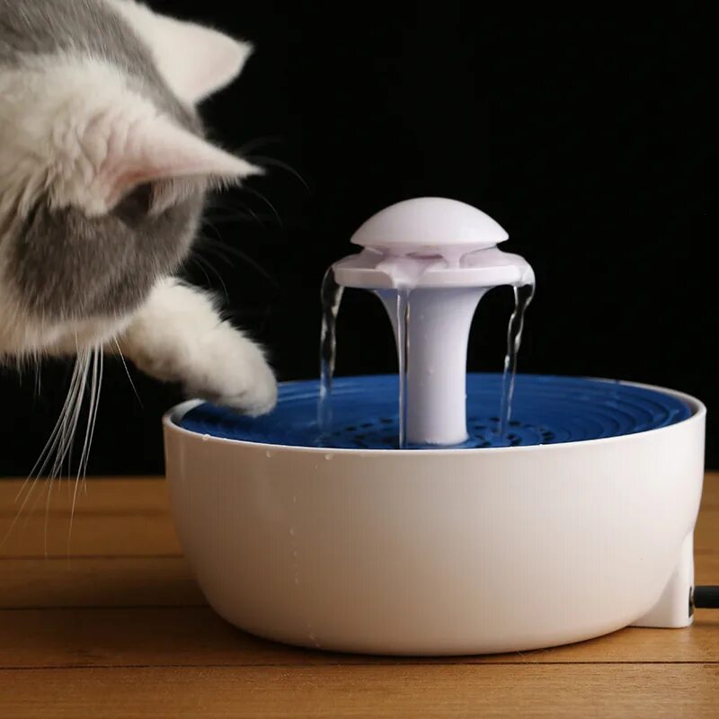 Фонтан для кошек. Фонтанчик для питья кошек. Питьевой фонтанчик для кошек. Миска фонтанчик для кошек. Поилка фонтан для кошек купить