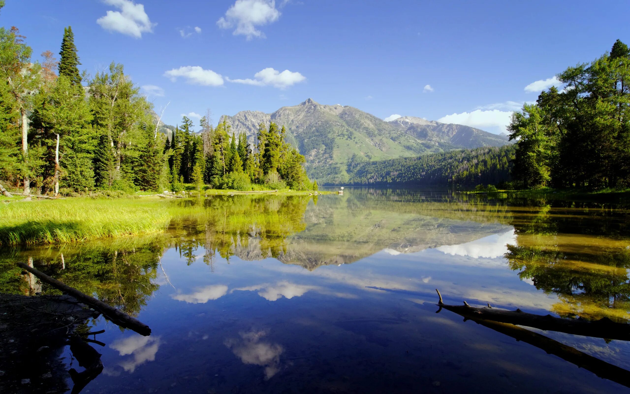 X lakes. Шварцвальд озеро. Лесное (озеро, Северная Америка). Южный Шварцвальд озеро. Телецкое озеро.