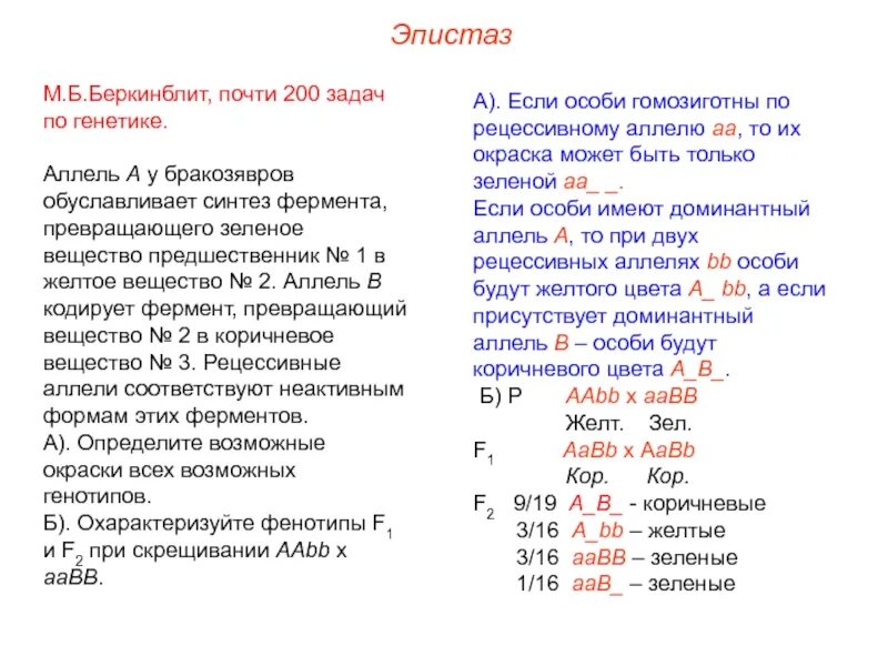 Сколько процентов особей будет иметь рецессивный. Аллели в задачах. Множественные аллели задачи по генетике. Рецессивный аллель. Доминантный эпистаз примеры.